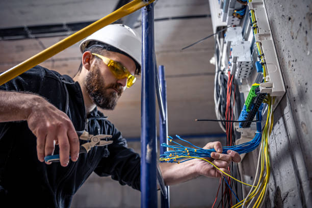 Best Electric Panel Repair  in Campbellsburg, KY